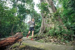 BIB: 
                            <button type="button" onclick="openModal(24809462)" class="btn btn-primary btn-sm float-right btn-popup" data-toggle="modal" data-target=".modal-high-quality">
                        <i class="fas fa-shopping-cart"></i> Add to Cart
                    </button>
                                            <button type="button" onclick="isThisMe(24809462, true)" class="btn btn-success btn-sm float-right btn-popup btn-isme hidden" data-toggle="tooltip" data-placement="bottom" title="นี่คือรูปของคุณใช่ไหม คลิกที่นี่เพื่อเอาเข้าอัลบั้ม">
                        <i class="fas fa-plus"></i> Add to album
                    </button>
                    <button type="button" onclick="isThisMe(24809462, false)" class="btn btn-warning btn-sm float-right btn-popup btn-isnotme hidden">
                        <i class="fas fa-ban"></i> Remove from album
                    </button>